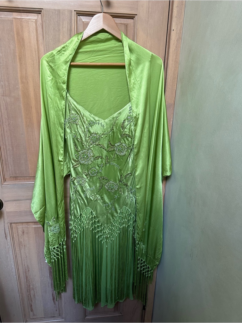Stunning Embellished Silk Fringe Dress and Scarf - Picture 9 of 12